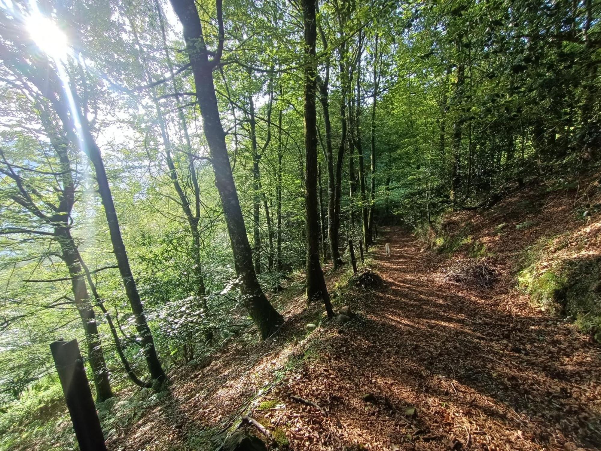 Hébergement de vacances La Mirador De Valles Pasiegos *